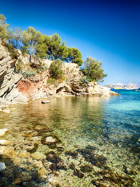 Calvia Cala Fornells turquoise mediterranean in Majorca Calvia Cala Fornells turquoise mediterranean in Majorca at balearic islands of Spain seaside views of cala fornells mallorca stock pictures, royalty-free photos & images