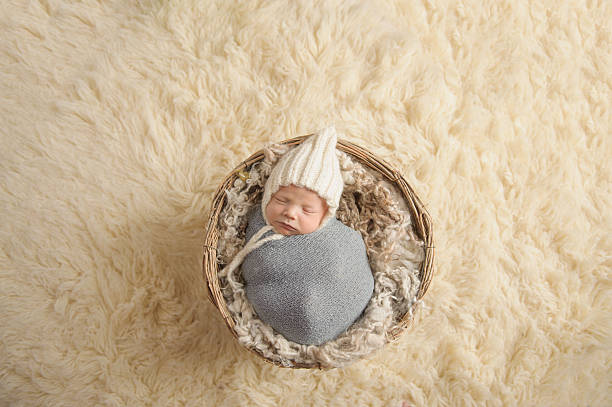 спящая новорожденный мальчик - baby animal nest newborn lying down стоковые фото и изображения