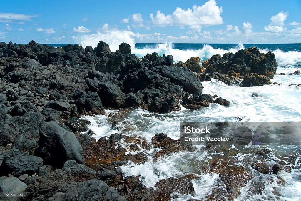 Volcan pierres sur la plage au Hana Maui, Hawaï - Photo de Animaux à l'état sauvage libre de droits