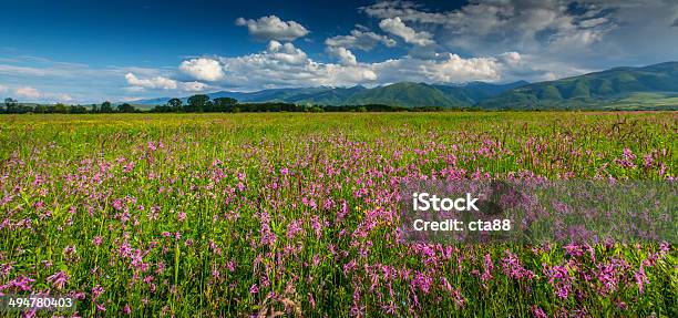 Paisaje De Verano De Los Alpes Foto de stock y más banco de imágenes de Aire libre - Aire libre, Alpes Europeos, Austria