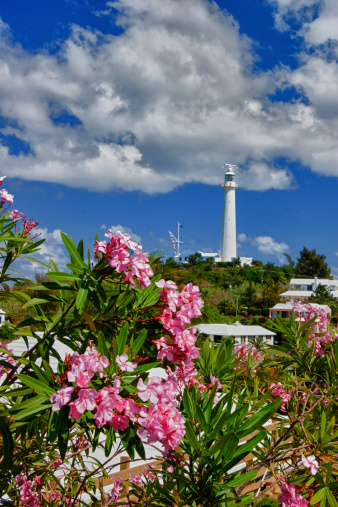 A lighthouse in Bermuda with bougainvillea