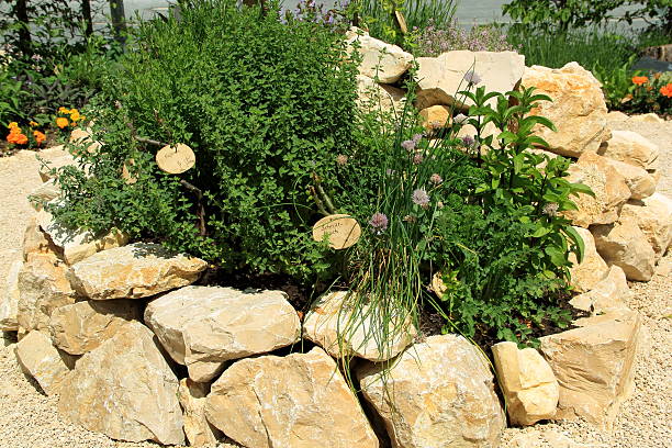 jardim de ervas - herb garden healthy eating freshness marjoram - fotografias e filmes do acervo