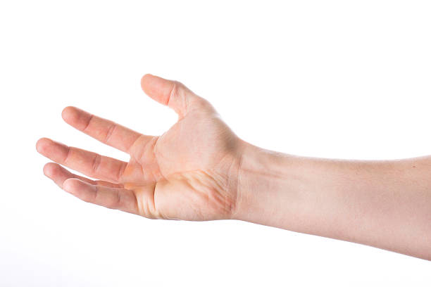 istock Hand showing gesture, point something isolated on white background 494782529
