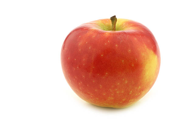 istock fresh new Dutch apple variety called 