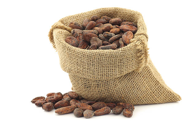 granos de cacao en una bolsa de arpillera - chocolate beans fotografías e imágenes de stock