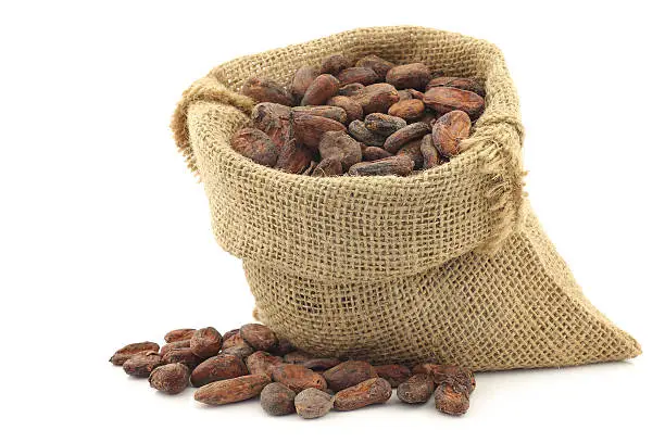 cocoa beans in a burlap bag on a white background