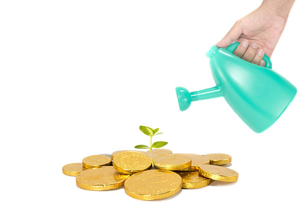 istock investment concept with growth 494783257