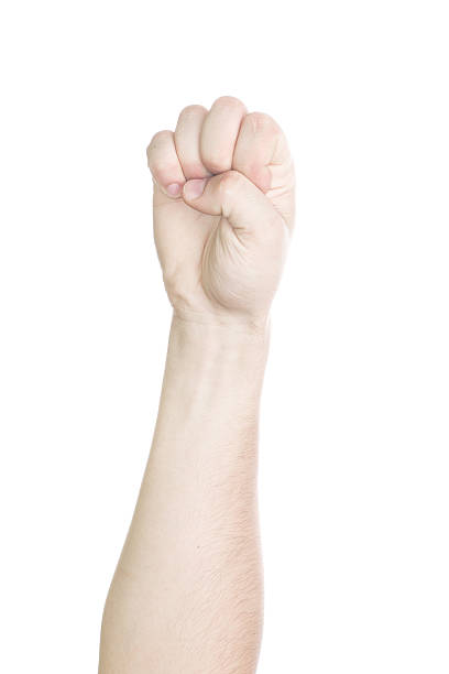 istock Hand showing gesture, point something isolated on white background 494783655