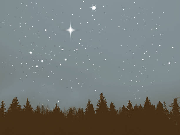istock Tree Line Silhouette and Night Sky with Added Twinkle Stars 494784903