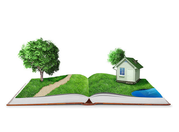 istock Open book with green nature world 494786390