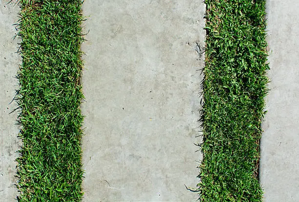 Stone block walk path in the park with green grass