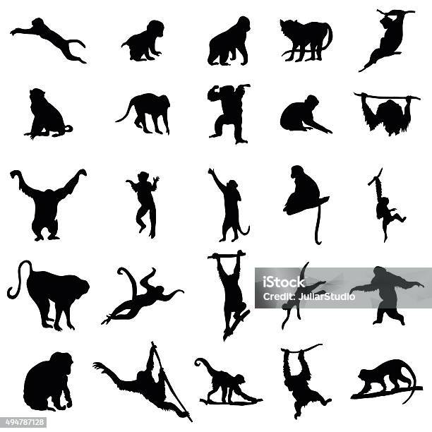 Ape And Monkey Collection Stock Illustration - Download Image Now - Monkey, Ape, In Silhouette
