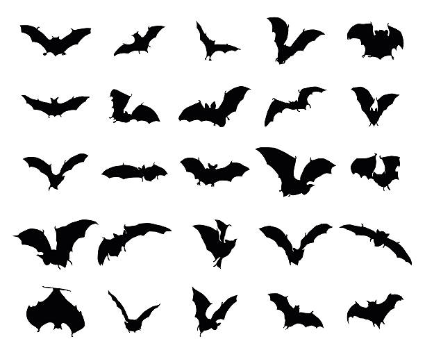 Bats silhouettes set Bats silhouettes set isolated on a white background isolated bat stock illustrations