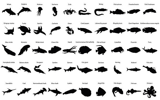 ilustraciones, imágenes clip art, dibujos animados e iconos de stock de fishes siluetas - salmón animal
