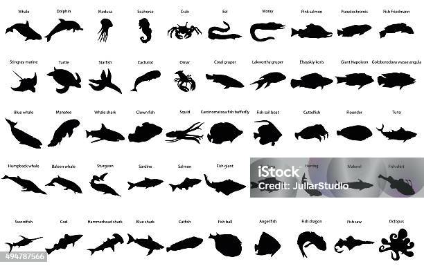 Fishes Silhouettes Stock Illustration - Download Image Now - In Silhouette, Fish, Animal