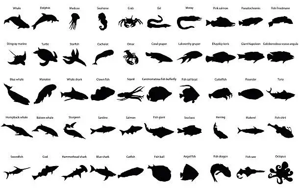 Vector illustration of Fishes silhouettes