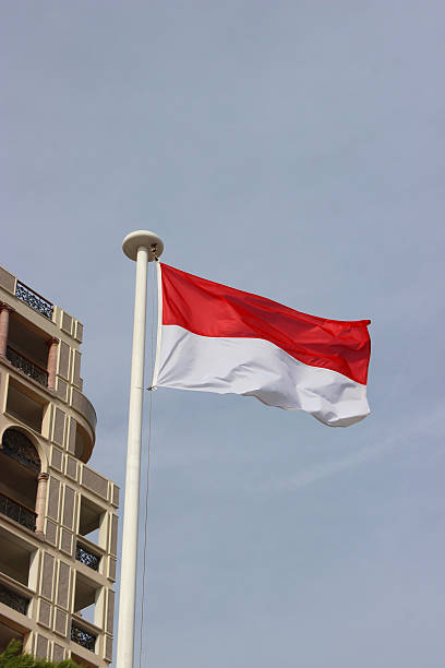 istock Flag of Monaco 494788414