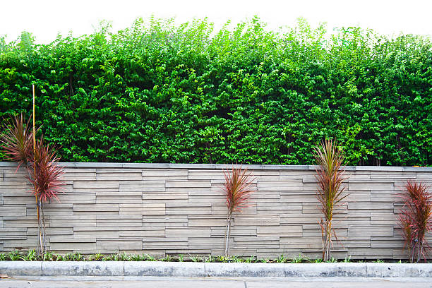 istock Decorative garden on a granite fence 494791168