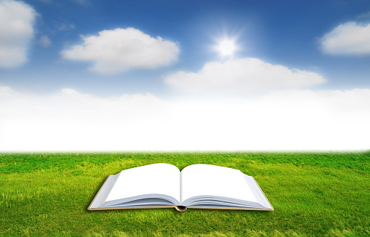 Open book with nature grass field background