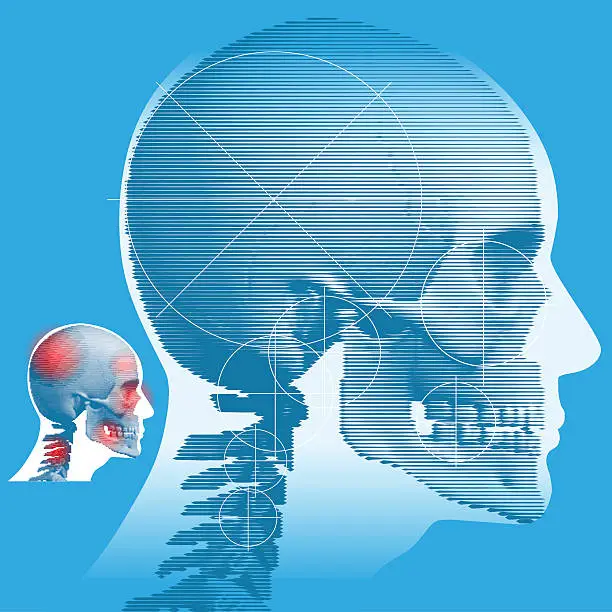 Vector illustration of Male Head and Skull