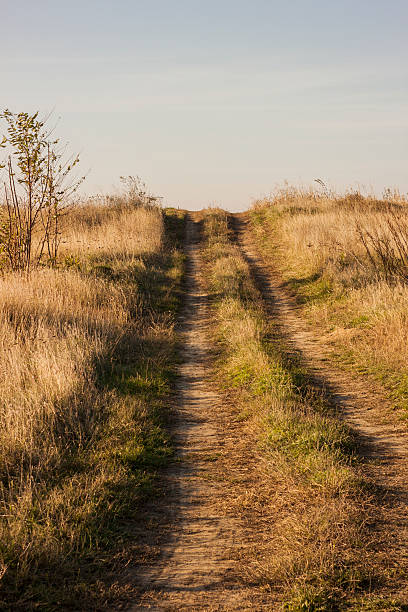 istock Country dirt road going over the hill 494811282