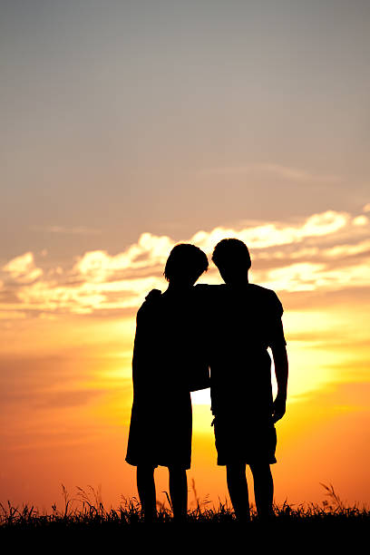 istock Silhouette of Young Boys Watching Sunset 494811859
