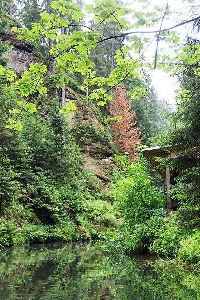 istock Barrage Obere Schleuse at river Kirnitzsch in Hinterhermsdorf, Saxon Switzerland 494812698