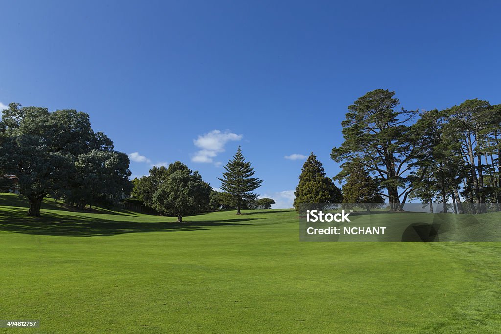 Rolling green hills Rolling green hills on a beautiful sunny day. Agricultural Field Stock Photo