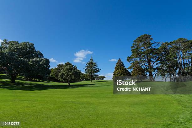 Rolling Green Hills Stock Photo - Download Image Now - Agricultural Field, Auckland Region, Day