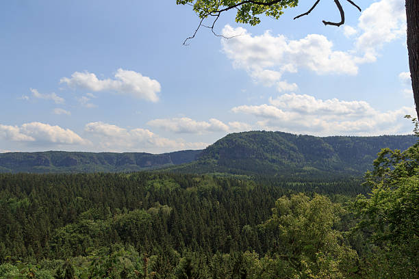 istock Panorama with mountain Kleiner Winterberg in Saxon Switzerland 494813576
