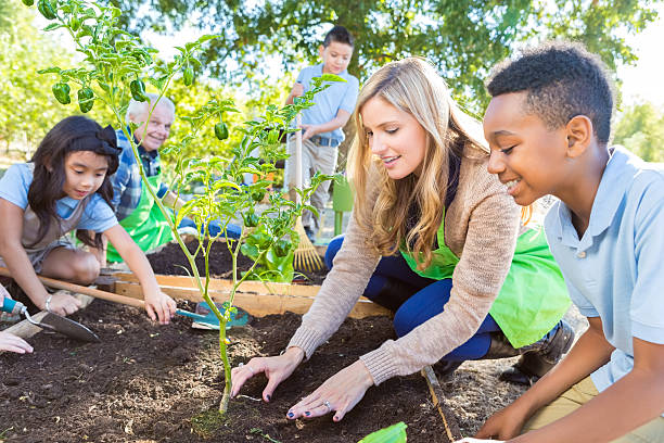 profesor y un agricultor enseñanza elemental estudiantes sobre la jardinería - school farm fotografías e imágenes de stock