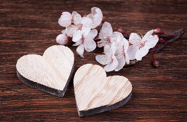 istock Two wooden hearts placed nicely with spring cherry blossom flowe 494827846