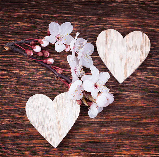istock Two wooden hearts  with spring cherry blossom flowers 494827866