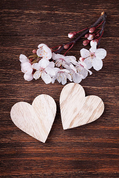 istock Wooden hearts placed nicely with spring cherry blossom flowers o 494827902