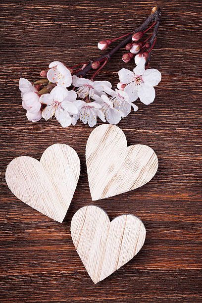 istock Three wooden hearts placed nicely with spring cherry blossom flo 494827986
