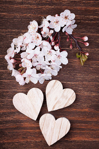 istock Three wooden hearts placed nicely with cherry blossom flowers on 494828018