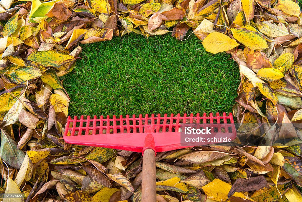 Herbst Blätter mit Rechen - Lizenzfrei Rechen Stock-Foto