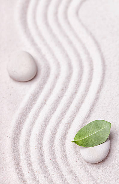 istock Zen garden with a wave lines in the sand 494829804