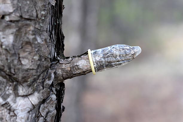 istock Natural sex toy 494829946