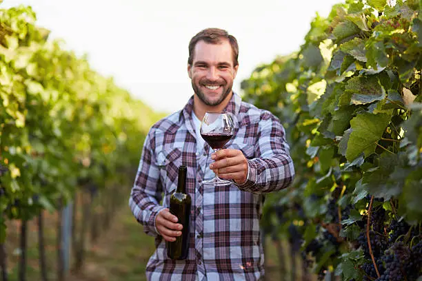 Glass of red wine in hand, the young winemakers in the vineyard