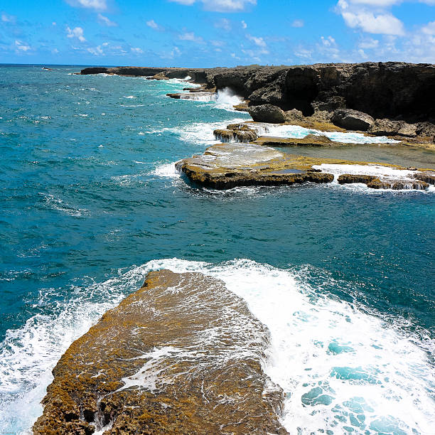 istock Vacation background. Amazing tropical beach. 494831606