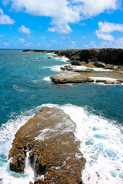 istock Vacation background. Amazing tropical beach. 494831974