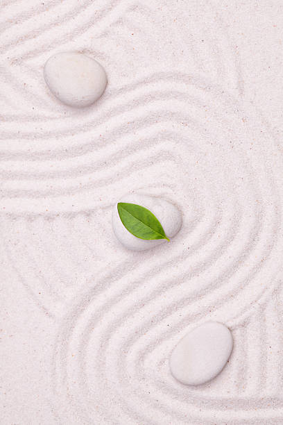 istock Zen garden with wave lines in the white  sand 494832814