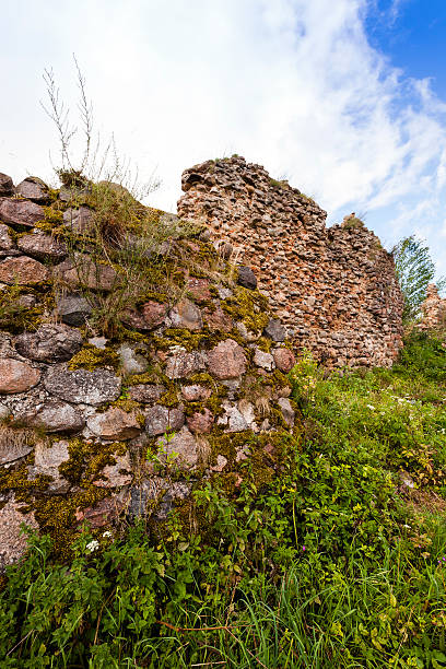 istock ruins  in the   Krevo, Belarus. 494833358