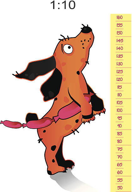 160+ Dog Scales Stock Illustrations, Royalty-Free Vector Graphics & Clip  Art - iStock