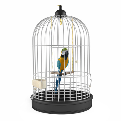 Parrot Cage isolated at the white background