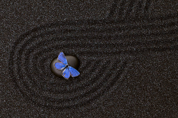 istock Zen garden with wave lines in the black grain sand 494833842
