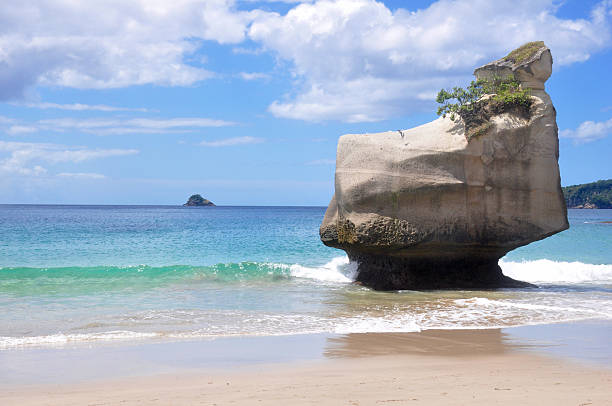 catedral cove, nova zelândia - new zealand cathedral cove sea sand - fotografias e filmes do acervo