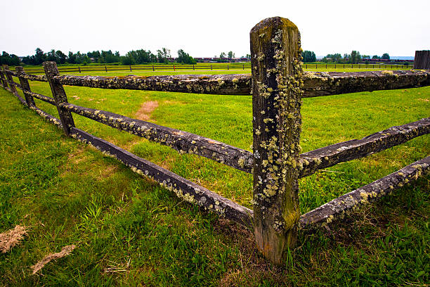istock Old wooden fence covered with moss 494837359