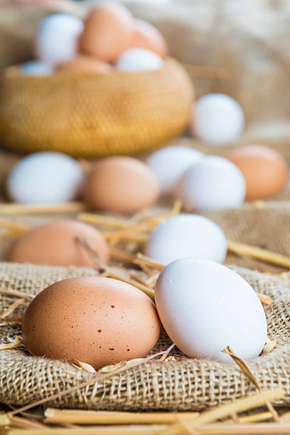jaja świeże wolny wybieg - agriculture brown burlap cholesterol zdjęcia i obrazy z banku zdjęć